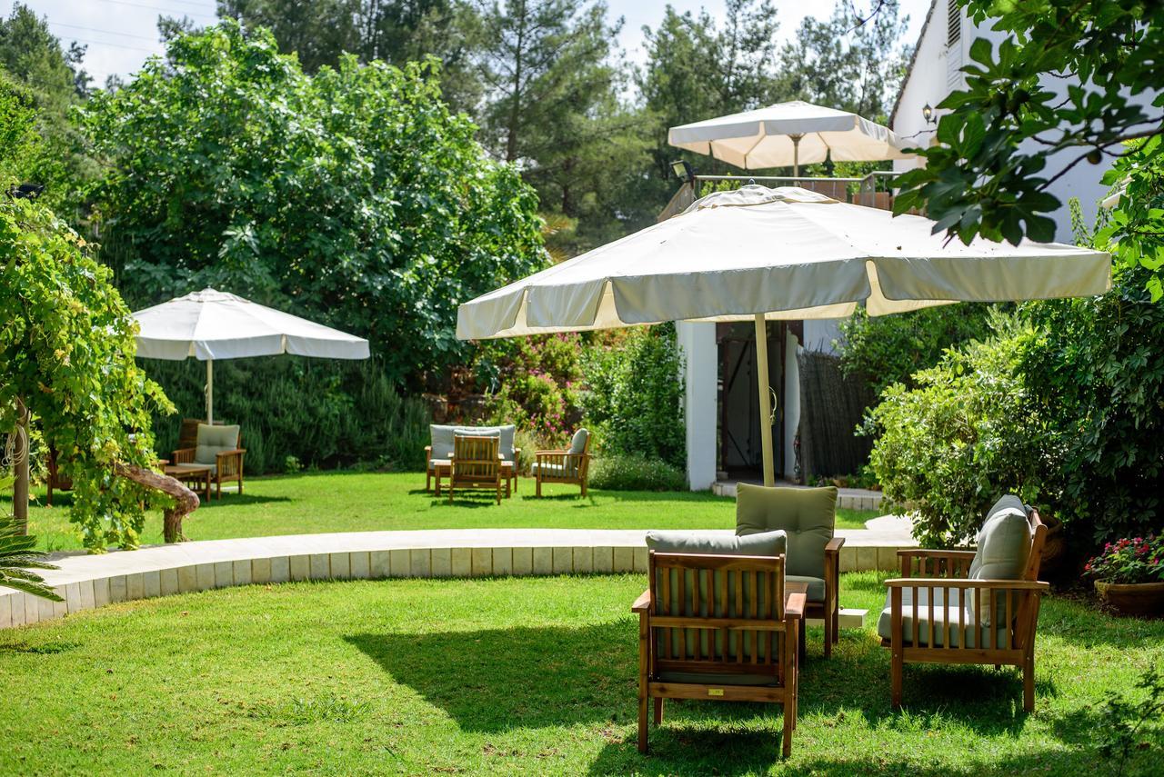 Amirey Hagalil Boutique Hotel Amirim Bagian luar foto